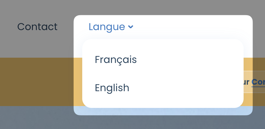 Site ophtalmologique multilingue avec sélecteur EN FR